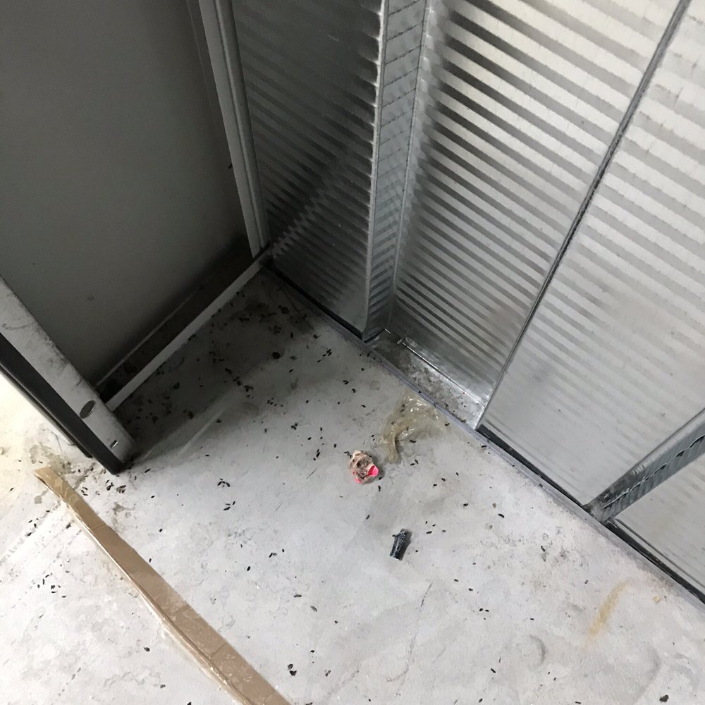 Extra Space Storage - Mouse droppings at entrance. - Self Storage Near Me - Brockton, Massachusetts Extra Space Storage - Mouse droppings at entrance. - Self Storage Near Me - Brockton, Massachusetts