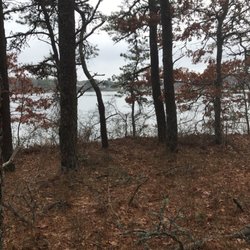 Fresh Pond Conservation Land and Dog Park