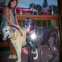 Fetching Pet & Home