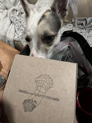 James & the Giant Cupcake by null