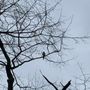 Photo of Pennypack Ecological Restoration Trust