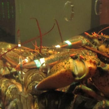 Red Lobster - My lobster friends - Seafood Near Me - Ocala, Florida Red Lobster - My lobster friends - Seafood Near Me - Ocala, Florida