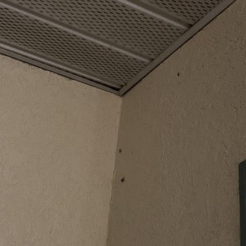 Quality Inn - More spiders - Hotels Near Me - Cherokee, North Carolina