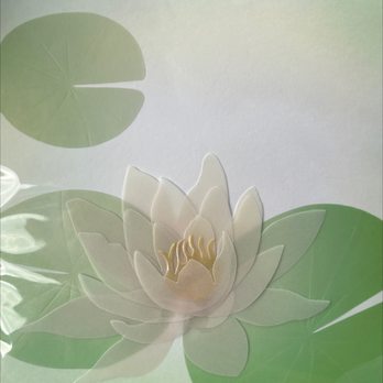 Rite Aid - Beautiful cards - Drugstores Near Me - Fogelsville, Pennsylvania Rite Aid - Beautiful cards - Drugstores Near Me - Fogelsville, Pennsylvania