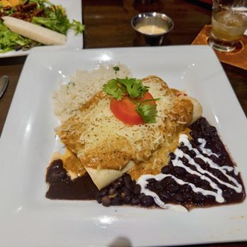 Blue Agave Grill - Mole enchiladas were a delight. - Seafood Near Me - Denver, Colorado