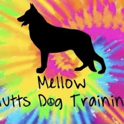 Mellow Mutts Dog Training
