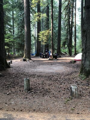Ohanapecosh Campground by null