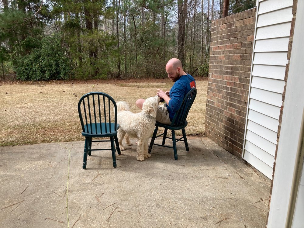 Shelton Mill Townhomes - property management company in Auburn, AL