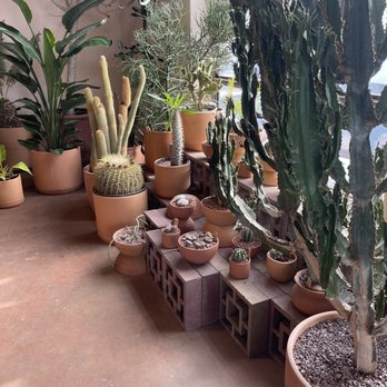 Mother Plants - Nurseries & Gardening Near Me - Minneapolis, Minnesota