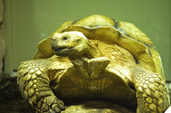 Sevilla Aquarium by null