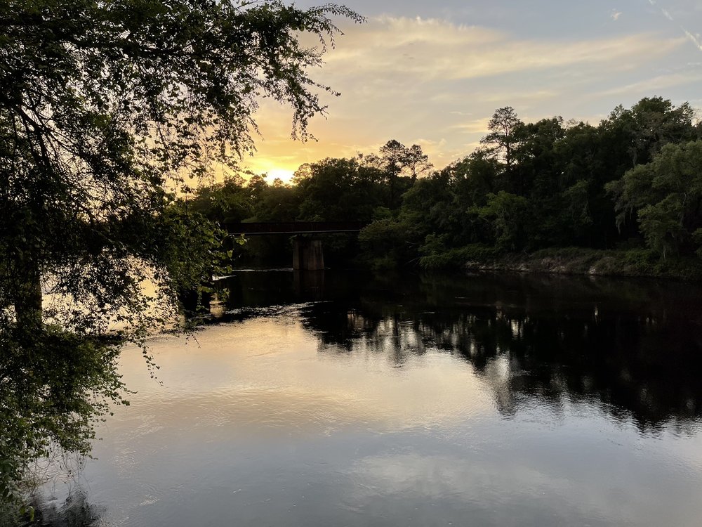Suwannee River State Park Image