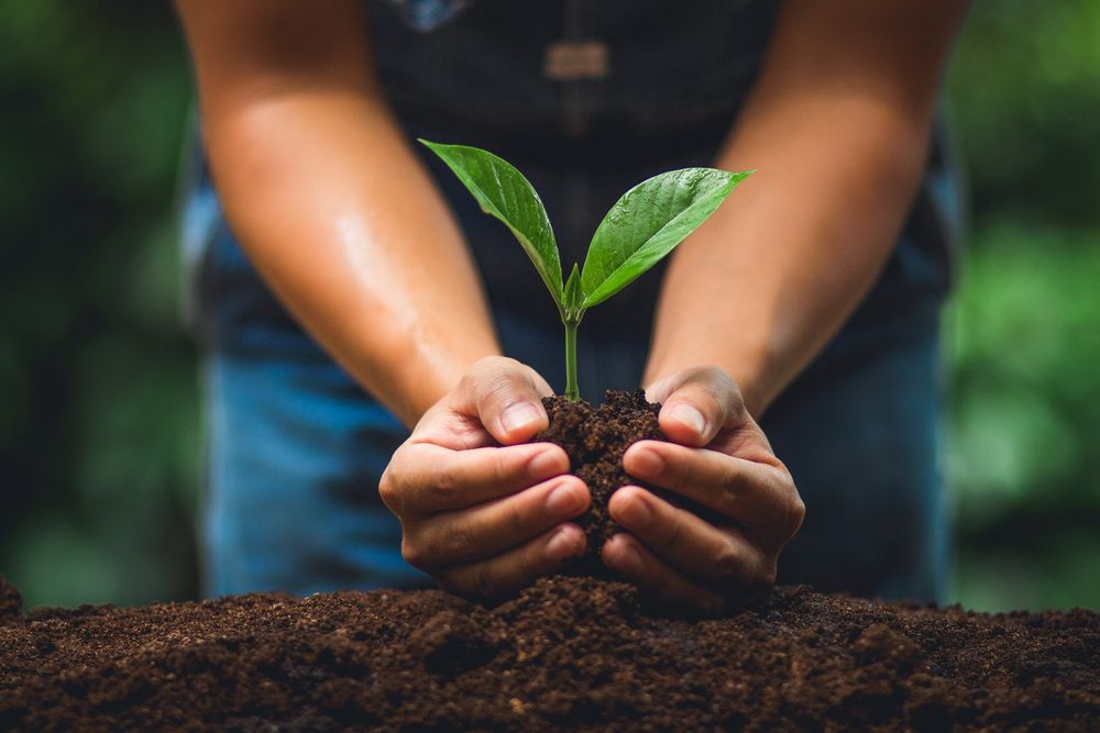 Umano Touch Service - grief counselor in Fair Lawn, NJ