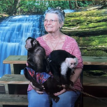 Three Monkeys Photo Emporium - Session Photography Near Me - Pigeon Forge, Tennessee