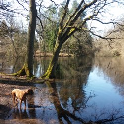 Am Warndtweiher