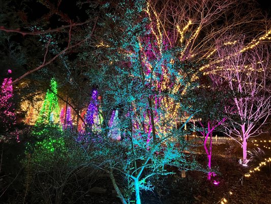 The State Botanical Garden of Georgia by null