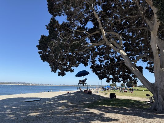 Mission Bay Park by null