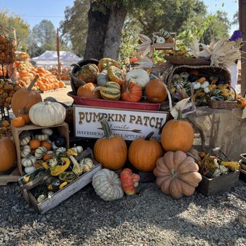 Deer Creek Farm By Compassion Planet - Home Decor Near Me - Rocklin, California Deer Creek Farm By Compassion Planet - Home Decor Near Me - Rocklin, California