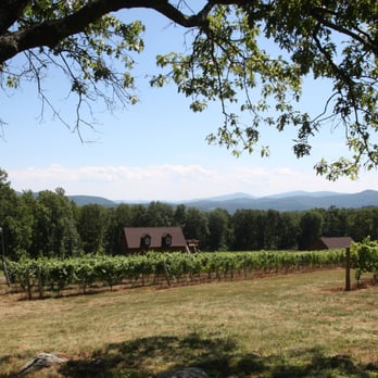 Fox Meadow Winery - from the deck - Wineries Near Me - Linden, Virginia
