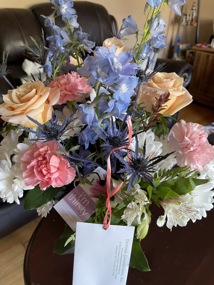 EAST SIDE GREENHOUSES Updated October 2024 15 Reviews 61 N