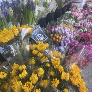 Trader Joe's - During the cooler season their patio is filled with blooms - Grocery Near Me - Cathedral City, California Trader Joe's - During the cooler season their patio is filled with blooms - Grocery Near Me - Cathedral City, California