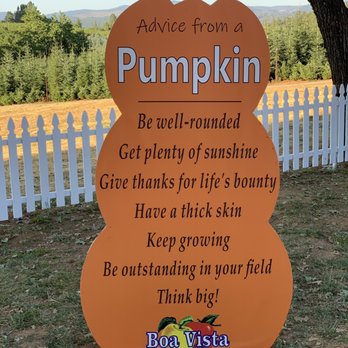 Boa Vista Orchards - Nice touch on the pumpkin patch - Fruits & Veggies Near Me - Placerville, California Boa Vista Orchards - Nice touch on the pumpkin patch - Fruits & Veggies Near Me - Placerville, California