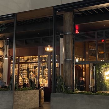 Bosscat Kitchen & Libations - Outside seating with cute ass birdcages filled with whiskey bottles - New American Near Me - Irvine, California Bosscat Kitchen & Libations - Outside seating with cute ass birdcages filled with whiskey bottles - New American Near Me - Irvine, California