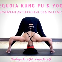 Sequoia Kung Fu & Yoga - Movement Arts for Health & Wellness