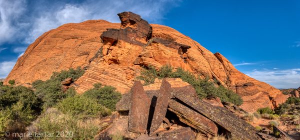 Snow Canyon State Park by null