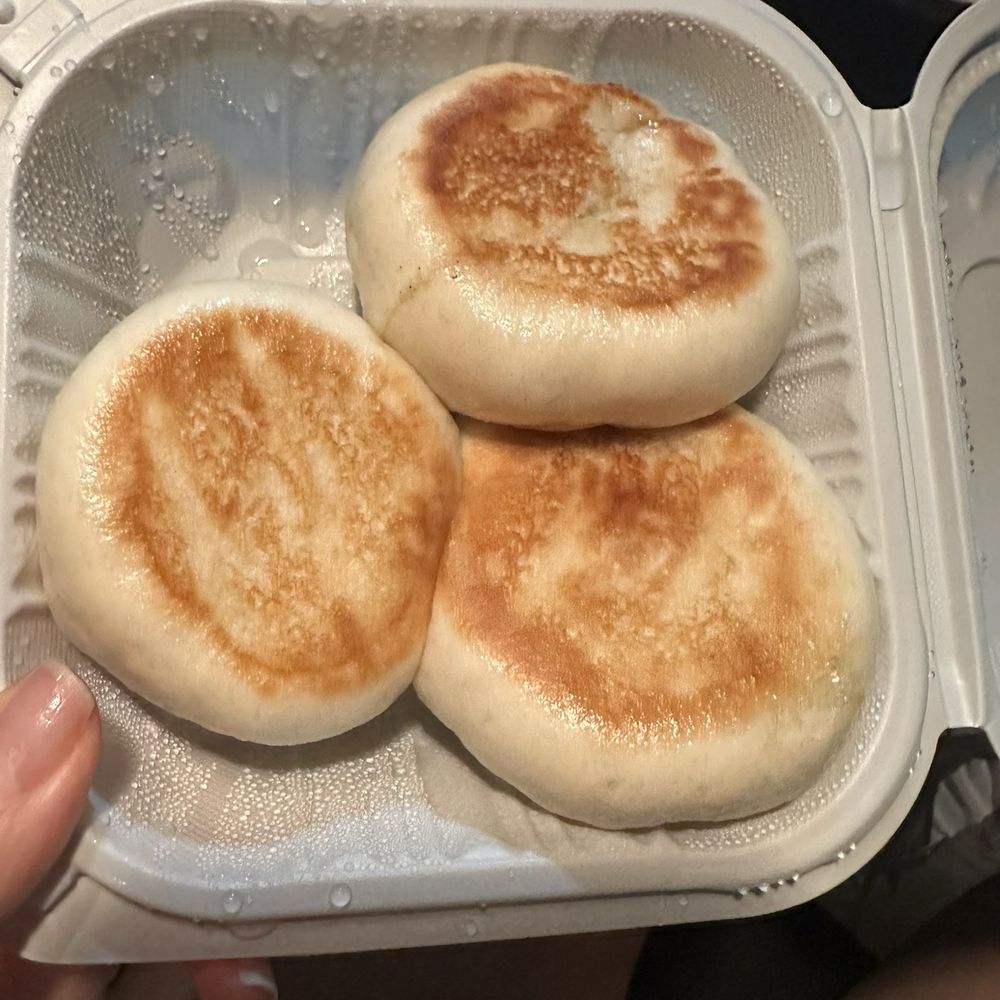 Pan Fried Chicken Bun (3)
