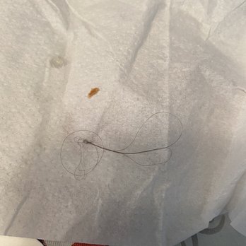 Durham Deli - Hairs in my chicken salad hoagie. Disgusting! - Delis Near Me - Bristol, Pennsylvania Durham Deli - Hairs in my chicken salad hoagie. Disgusting! - Delis Near Me - Bristol, Pennsylvania