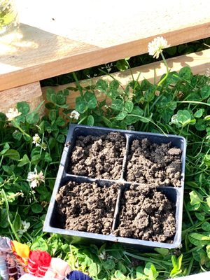 Pelham Bay Park by null