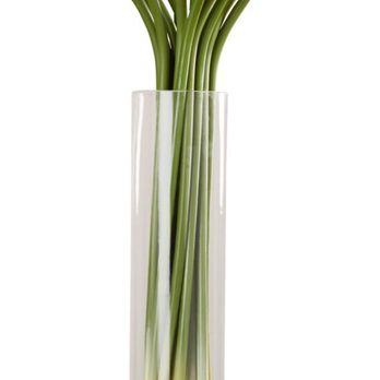 Cali Bay Dental Care - Simple floral arrangement that would look better. - General Dentistry Near Me - Hercules, California Cali Bay Dental Care - Simple floral arrangement that would look better. - General Dentistry Near Me - Hercules, California
