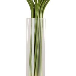 Cali Bay Dental Care - Simple floral arrangement that would look better.