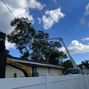 Stutzman Brothers Tree Service - View from the street of tree takedown. - Tree Services Near Me - Dade City, Florida