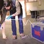 Northwest Equine Veterinary Associates