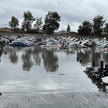 Pick Your Part - Anaheim - The day after hard rain - Auto Parts & Supplies Near Me - Anaheim, California Pick Your Part - Anaheim - The day after hard rain - Auto Parts & Supplies Near Me - Anaheim, California