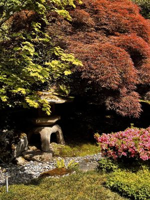 Seattle Japanese Garden by null