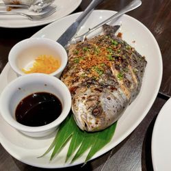 Gerry's Grill - Pompano