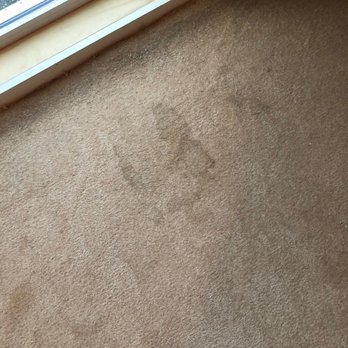 Girls 'n' Tools - Stained carpet- floor protection not put down - A beige carpet with multiple stains is shown near a sliding glass door, indicating possible dirt or water marks. - General Contractors Near Me - Danielson, Connecticut