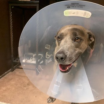 animal am emergency clinic