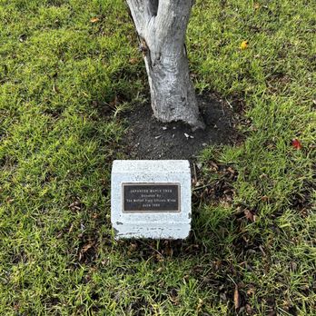 Patrol Squadron VP-50 Memorial - Landmarks & Historical Buildings Near Me Patrol Squadron VP-50 Memorial - Landmarks & Historical Buildings Near Me