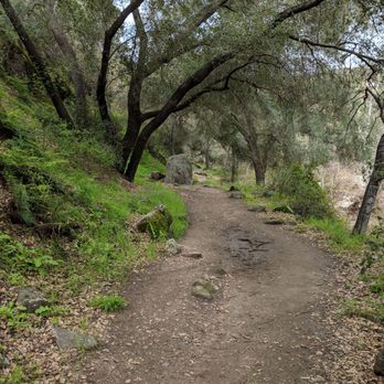 Santa Margarita River Trail - Hiking Near Me - Fallbrook, California Santa Margarita River Trail - Hiking Near Me - Fallbrook, California