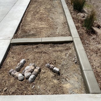 Kwik Kerb by Guido - a group of dead mice in a garden - Landscape Architects or Designers Near Me Kwik Kerb by Guido - a group of dead mice in a garden - Landscape Architects or Designers Near Me