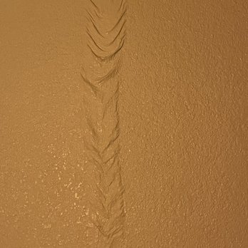 Motel 6 - Something coming down on paint - Hotels Near Me - Wells, Nevada