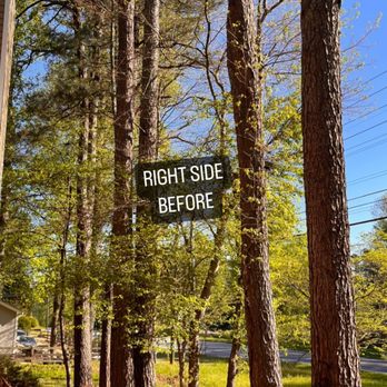 Tree Care Marietta - right side before - Tree Services Near Me Tree Care Marietta - right side before - Tree Services Near Me