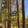 Photo of Tree Care Marietta