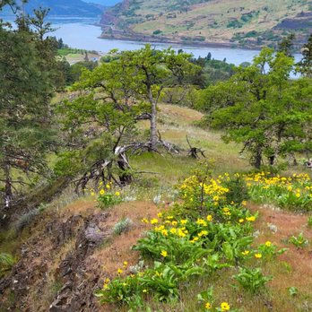 Memaloose Rest Area - Rest Stops Near Me - Mosier, Oregon Memaloose Rest Area - Rest Stops Near Me - Mosier, Oregon