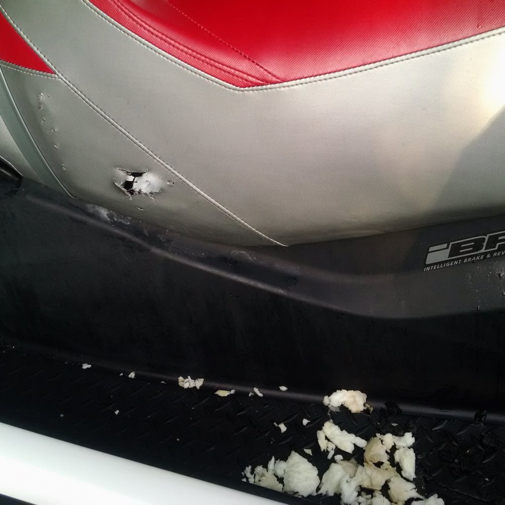 CubeSmart Self Storage - Monkeys tore open jetski seat and removed seat foam while being stored CubeSmart in Dania beach. - Self Storage Near Me - Dania Beach, Florida CubeSmart Self Storage - Monkeys tore open jetski seat and removed seat foam while being stored CubeSmart in Dania beach. - Self Storage Near Me - Dania Beach, Florida