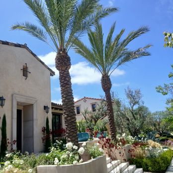 Saul’s Tree Service - Tree Services Near Me Saul’s Tree Service - Tree Services Near Me