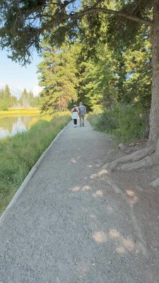 Schwabacher Landing by null